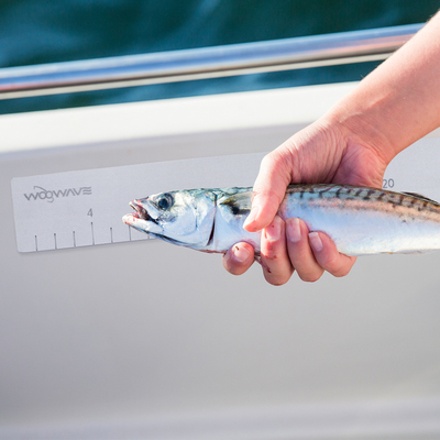 Woowave Marine EVA αφρό πλοίο ψαράς μέτρηση κυβερνήτης προσαρμοσμένο χρώμα και μέγεθος για την αλιεία